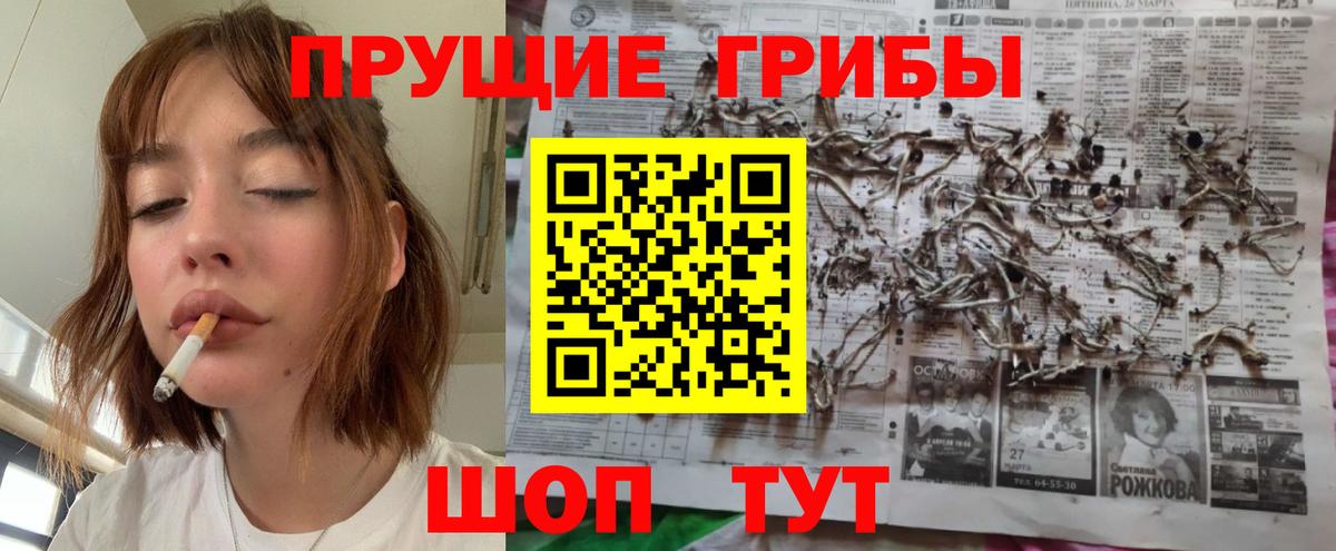 Псилоцибиновые грибы мухоморы Ржев